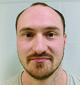 Morgantown man jailed in sex assault, child abuse case